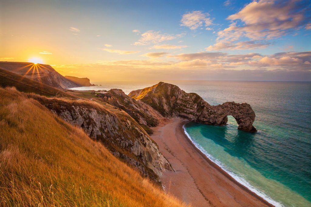 Dorset Declares a Climate Emergency